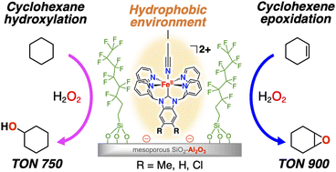 Graphical abstract: Selective alkane hydroxylation and alkene epoxidation using H2O2 and Fe(ii) catalysts electrostatically attached to a fluorinated surface