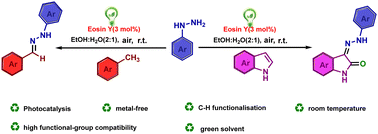 Graphical abstract: Visible-light-absorbing C–N cross-coupling for the synthesis of hydrazones involving C(sp2)–H/C(sp3)–H functionalization
