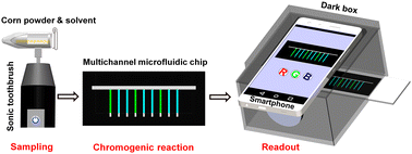 Graphical abstract: Portable detection of multiple mycotoxins based on a sonic toothbrush, microfluidic chip and smartphone