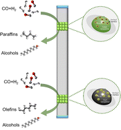 Graphical abstract: A review of Co/Co2C-based catalysts in Fischer–Tropsch synthesis: from fundamental understanding to industrial applications