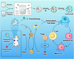 Graphical abstract: A CaCO3-based synergistic immunotherapy strategy for treating primary and distal tumors