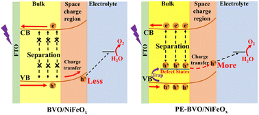 Graphical abstract: Photochemical and electrochemical co-regulation of the BiVO4 photoanode for water splitting