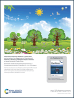 Graphical abstract: Back cover