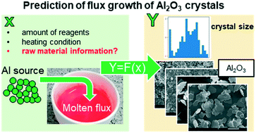Graphical abstract: Importance of raw material features for the prediction of flux growth of Al2O3 crystals using machine learning