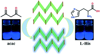 Graphical abstract: Stable bifunctional ZnII-based sensor toward acetylacetone and l-histidine via a fluorescence red shift and turn-on effect