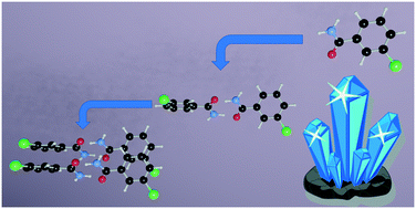 Graphical abstract: Energetic and topological supramolecular study and nucleation proposal for halogenated aryl amides