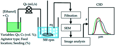 Graphical abstract: Impact of process parameters on product size and morphology in hydrometallurgical antisolvent crystallization