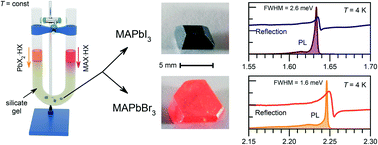 Graphical abstract: Counterdiffusion-in-gel growth of high optical and crystal quality MAPbX3 (MA = CH3NH3+, X = I−, Br−) lead-halide perovskite single crystals