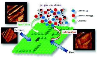 Graphical abstract: Crystal surface defects as possible origins of cocrystal dissociation