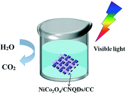 Graphical abstract: A photocatalyst prepared by NiCo2O4/CNQD-modified carbon fabric heterojunction enhanced visible-light-driven photocatalytic degradation of methyl orange