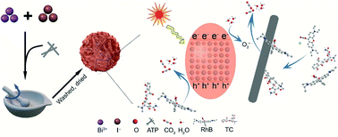 Graphical abstract: A readily synthesized bismuth oxyiodide/attapulgite for the photodegradation of tetracycline under visible light irradiation