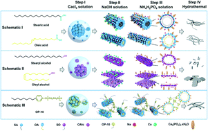 Graphical abstract: The preparation of hydroxyapatite nanowires and nanorods via aliphatic micelles as soft templates