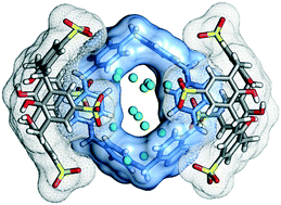 Graphical abstract: Electrostatic co-assembly of pillar[n]pyridiniums and calix[4]arene in aqueous media