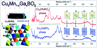 Graphical abstract: Multicomponent flux growth and composition control of Cu2MnBO5:Ga ludwigites