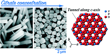 Graphical abstract: Formation and aspect ratio control of rhabdophane-type yttrium orthophosphate hexagonal prism particles synthesized by a citrate-assisted hydrothermal process