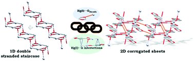 Graphical abstract: A Hg(i) corrugated sheet assembled by auxiliary dioxole groups and Hg⋯π interactions