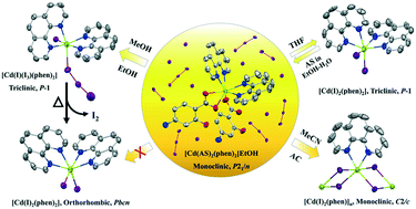 Graphical abstract: Ligand-driven self-assembly of iodine-based Cd(ii) complexes via dissolution–recrystallization structural transformation