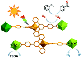 Graphical abstract: [Ru(N∧N∧N)2-Ce]-based framework for photocatalytic sulfide oxidation and hydrogen production