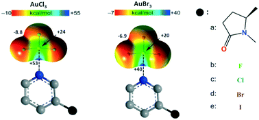 Graphical abstract: Expanding the toolbox of the coinage bond: adducts involving new gold(iii) derivatives and bioactive molecules