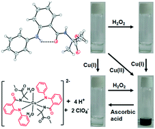 Graphical abstract: A γ-turn mimetic for selective sensing of Cu(ii) and a combinatorial multiple logic gate