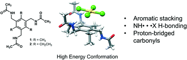 Graphical abstract: Co-crystals of tetrachloroauric acid and 1,3,5-(methylacetamide)benzene-based tectons: consistent trapping of high energy molecular conformation