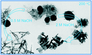 Graphical abstract: Hydrothermal formation of bismuth-titanate nanoplatelets and nanowires: the role of metastable polymorphs