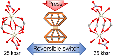 Graphical abstract: A reversible pressure-induced bond rearrangement of flexible lanthanide 2,5-bis(allyloxy)terephthalate coordination polymer networks