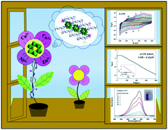 Graphical abstract: Four Anderson-type [TeMo6O24]6−-based metal–organic complexes with a new bis(pyrimidine)-bis(amide): multifunctional electrochemical and adsorption performances