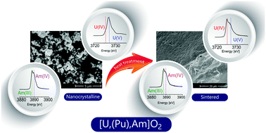 Graphical abstract: Synthesis and characterization of homogeneous (U,Am)O2 and (U,Pu,Am)O2 nanopowders
