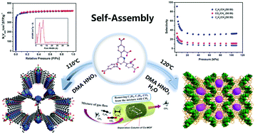 Graphical abstract: Construction of two novel non-penetrating Co-MOFs derived from designed 2,4,6-tri(2,4-dicarboxyphenyl)pyridine: synthesis, structure and gas adsorption properties