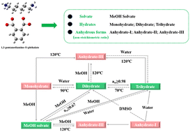 Graphical abstract: Discovering crystal forms of the bio-based nylon 5O monomer 1,5-pentanediamine-O-phthalate: insight into the crystal structures, transformations and stability