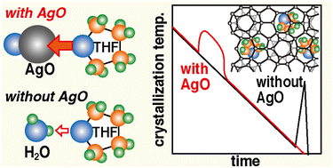 Graphical abstract: Supercooling suppression in the tetrahydrofuran clathrate hydrate formation