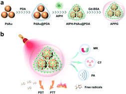 Graphical abstract: PdAu-based nanotheranostic agent for photothermally initiated and oxygen-independent free radical generation