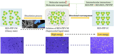 Graphical abstract: Self-gelation involved in the transformation of resveratrol and piperine from a co-amorphous system into a co-crystal system