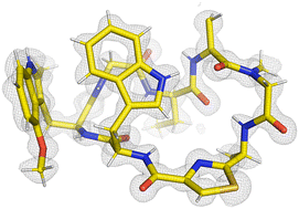 Graphical abstract: Crystal structure of natural product argyrin-D determined by 3D electron diffraction