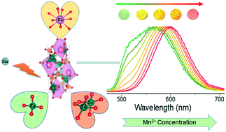 Graphical abstract: Broad luminescence tuning in Mn2+-doped Rb2Zn3(P2O7)2via doping level control based on multiple synergies