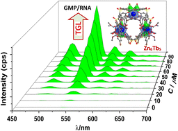 Graphical abstract: Construction of a luminescent eleven-metal Zn(ii)–Tb(iii) nanocluster for rapid and quantitative time-gated detection of guanosine-5-monophosphate and RNA