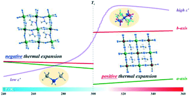 Graphical abstract: Near-room-temperature dielectric switch and thermal expansion anomaly in a new hybrid crystal: (Me2NH2)[CsFe(CN)5(NO)]