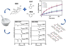 Graphical abstract: Expanding the solid-state landscape of dexamethasone: a specific sandwich structure in facilitating the formation of kinetically stable cocrystals from mechanochemistry