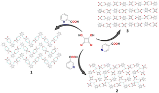 Graphical abstract: Synthesis and structural characteristic of pyridine carboxylic acid adducts with squaric acid