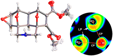 Graphical abstract: Crystal engineering of molecules with through-space α-effect hydrogen bonds: 3a,6 : 7,9a-diepoxybenzo[de]isoquinolines possessing a free amino group