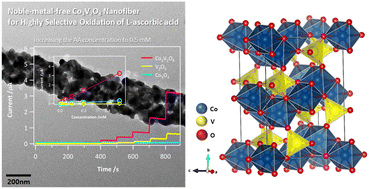 Graphical abstract: Noble-metal-free single-phase Co3V2O8 with the structural integrity of nanofibers for the selective detection of ascorbic acid