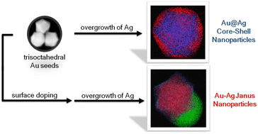 Graphical abstract: Seed surface doping-mediated seeded growth of Au–Ag Janus nanoparticles with tunable sizes and multiple plasmonic absorption modes