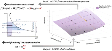 Graphical abstract: Prediction of metastable zone widths of ammonium sulphate: modification of the nucleation potential model in an electrolyte system