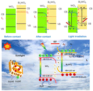 Graphical abstract: 2D–2D WO3–Bi2WO6 photocatalyst with an S-scheme heterojunction for highly efficient Cr(vi) reduction