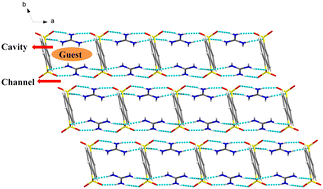 Graphical abstract: Structure determination of liquid molecules by encapsulation in an aromatic cavity with hydrogen bonding and enhanced C–H⋯π interactions