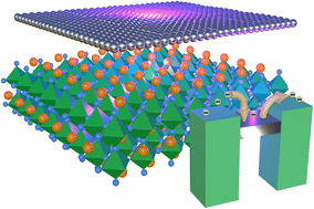 Graphical abstract: Flexible CsPbBr3 microwire photodetector with a performance enhanced by covering it with an Ag nanolayer