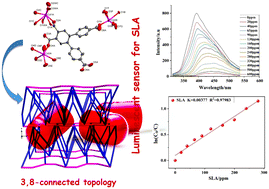 Graphical abstract: A 3,8-connected Cd(ii)-based metal–organic framework as an appropriate luminescent sensor for the antibiotic sulfasalazine