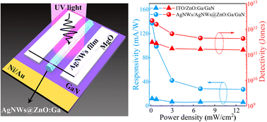 Graphical abstract: Performance enhancement of a self-biased n-ZnO microwire/p-GaN heterojunction ultraviolet photodetector incorporating Ag nanowires