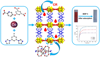 Graphical abstract: Three novel Co(ii)-based MOFs: syntheses, structural diversity, and adsorption properties